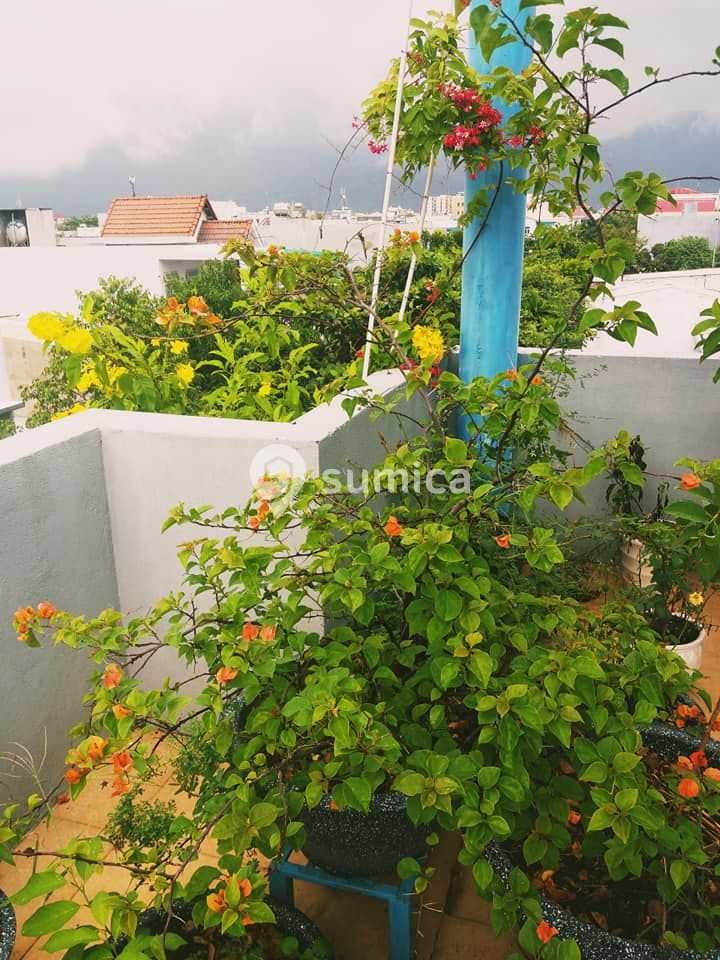 https://apis.sumica.ai/1/img/063Pr7VO8H9Udl4cJqGvSSMbYAp58LYOCc-G-UPanNw/rs:fit:1024:1024/wm:0.375:ce:0:0:0.35/XmJXywYFfSVuuLPp/DO96QIgzd5l3azWW/s408toXIpoWY2wkj/_GZF-Q.jpg