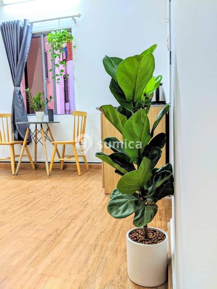 https://apis.sumica.ai/1/img/Ta0dug-pWV7oH4Wilht1FUr_8oLX33igapSqyssoeUs/rs:fit:1024:1024/wm:0.375:ce:0:0:0.35/DDNVxVpVciVuuOHq/X-96QIgzd5lyOWeW/6N5t7oWcrdSbjQou/_GZF-Q.jpg