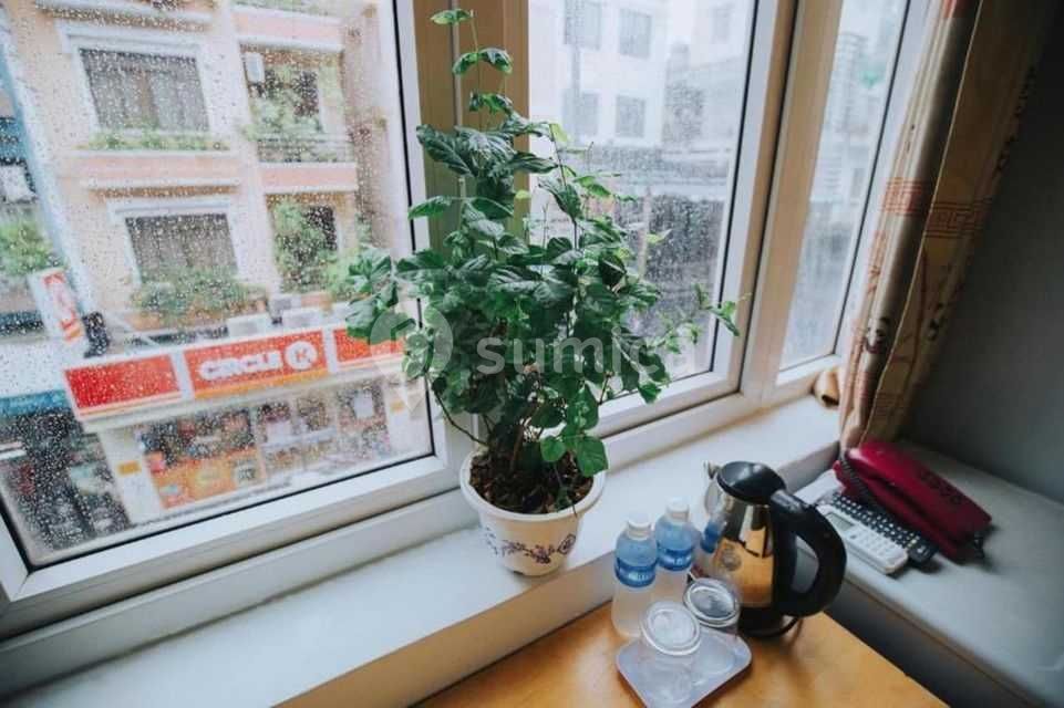 https://apis.sumica.ai/1/img/fL4fQowVNm7auxVbaBdbVdzIi63EJIpq3WpN9X1owN4/rs:fit:1024:1024/wm:0.375:ce:0:0:0.35/XjdXmV1QJiVuurbs/C-96QIgzd5kvNGOW/st5vutCc_oCbjQwr/_GZF-Q.jpg